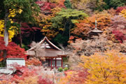 談山神社